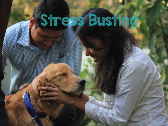 Stress-Busting